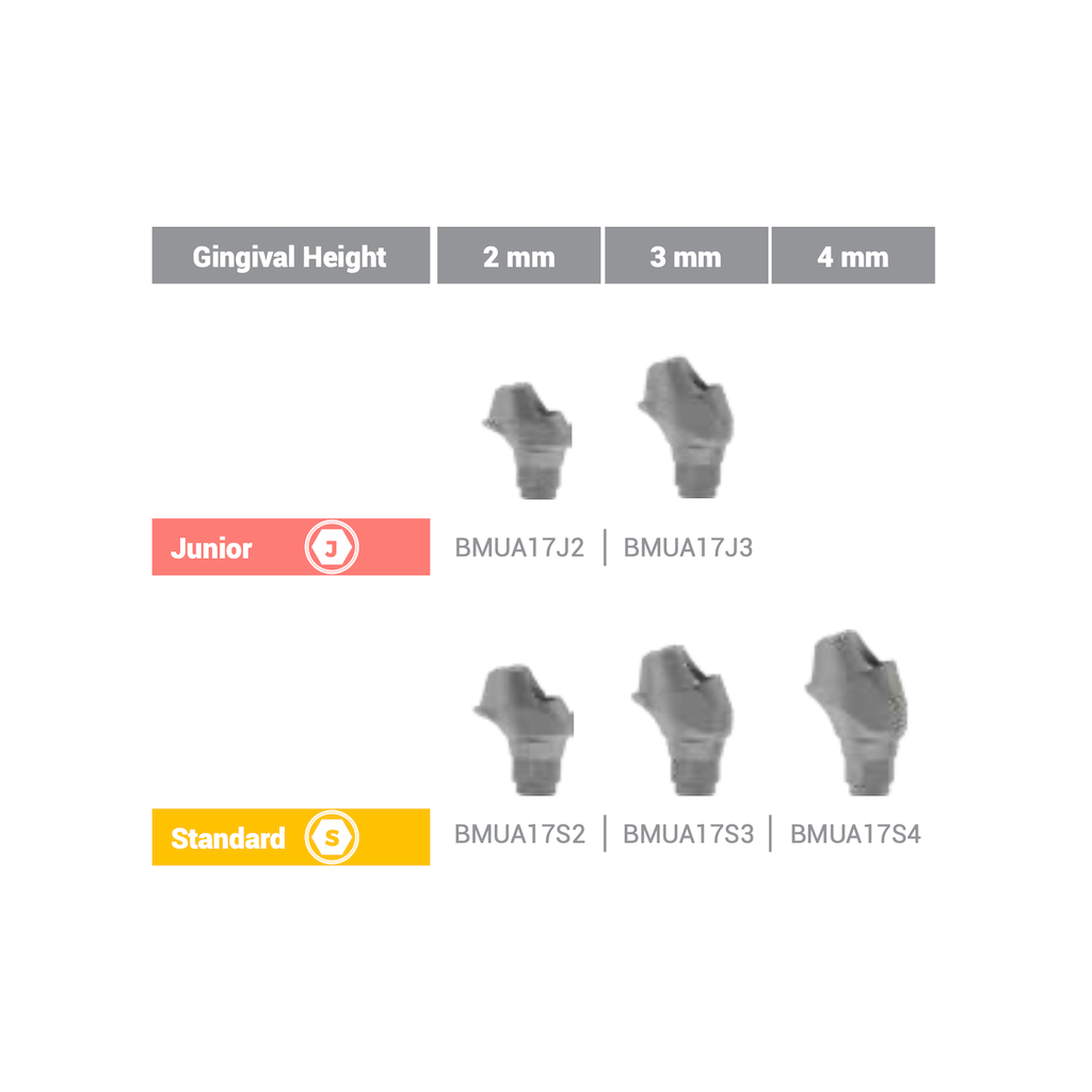Multi Unit Angled Abutment (17°) Standard 4 mm BioInfinity - BMUA17S4