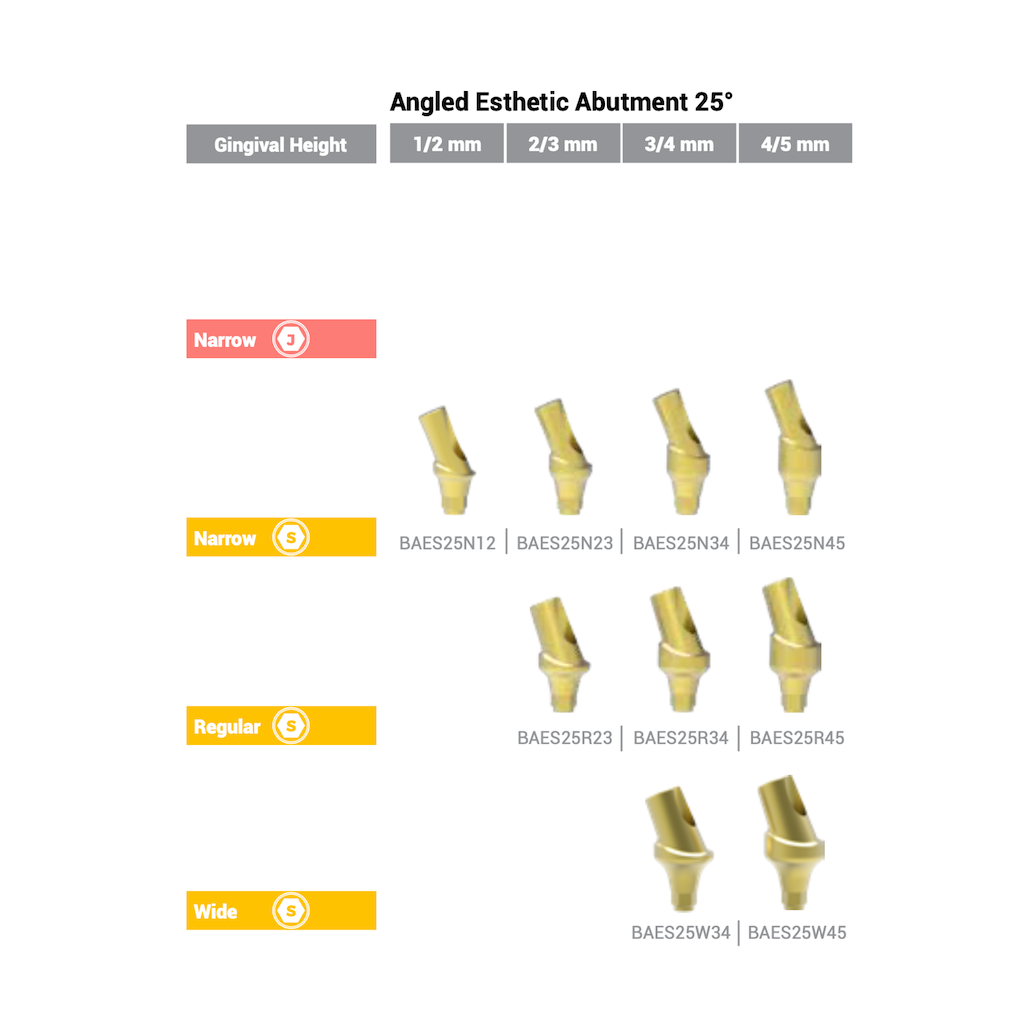 Angled Esthetic Abutment (25°) Standard Regular 4/5 mm BioInfinity - BAES25R45