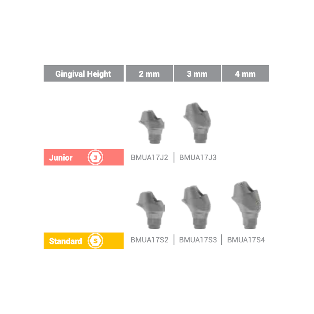 Multi Unit Angled Abutment (17°) Standard 3 mm BioInfinity - BMUA17S3